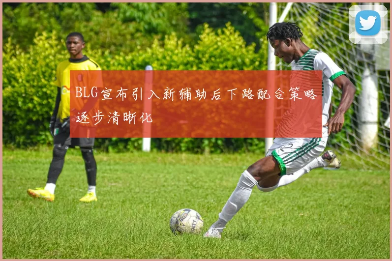 BLG宣布引入新辅助后下路配合策略逐步清晰化