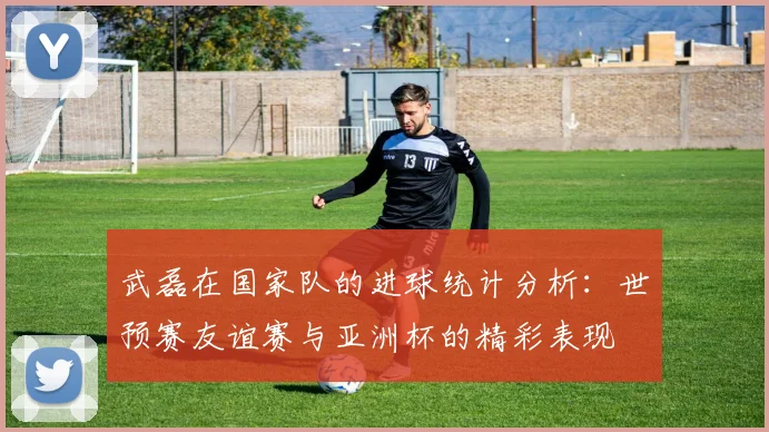武磊在国家队的进球统计分析：世预赛友谊赛与亚洲杯的精彩表现